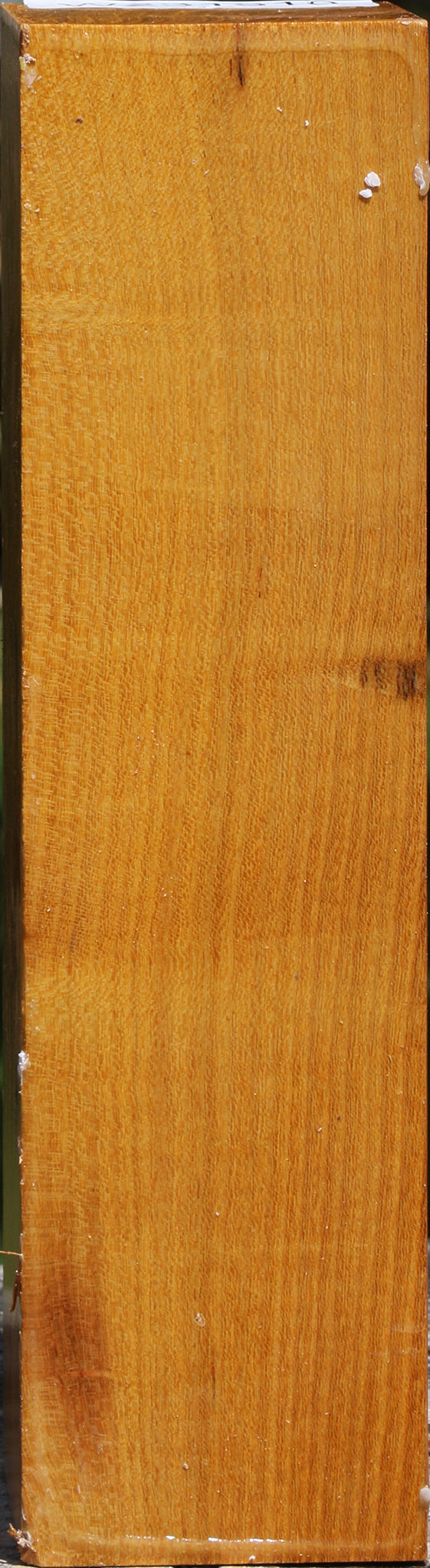 Silver Wattle Peppermill