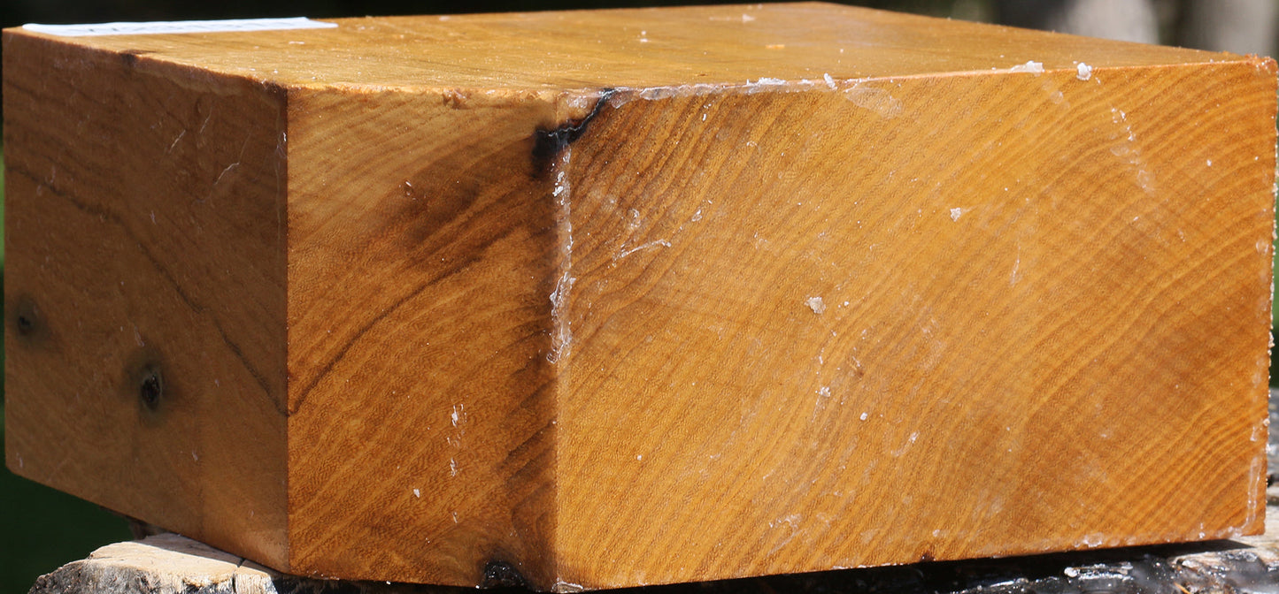 Silver Wattle Bowl Blank