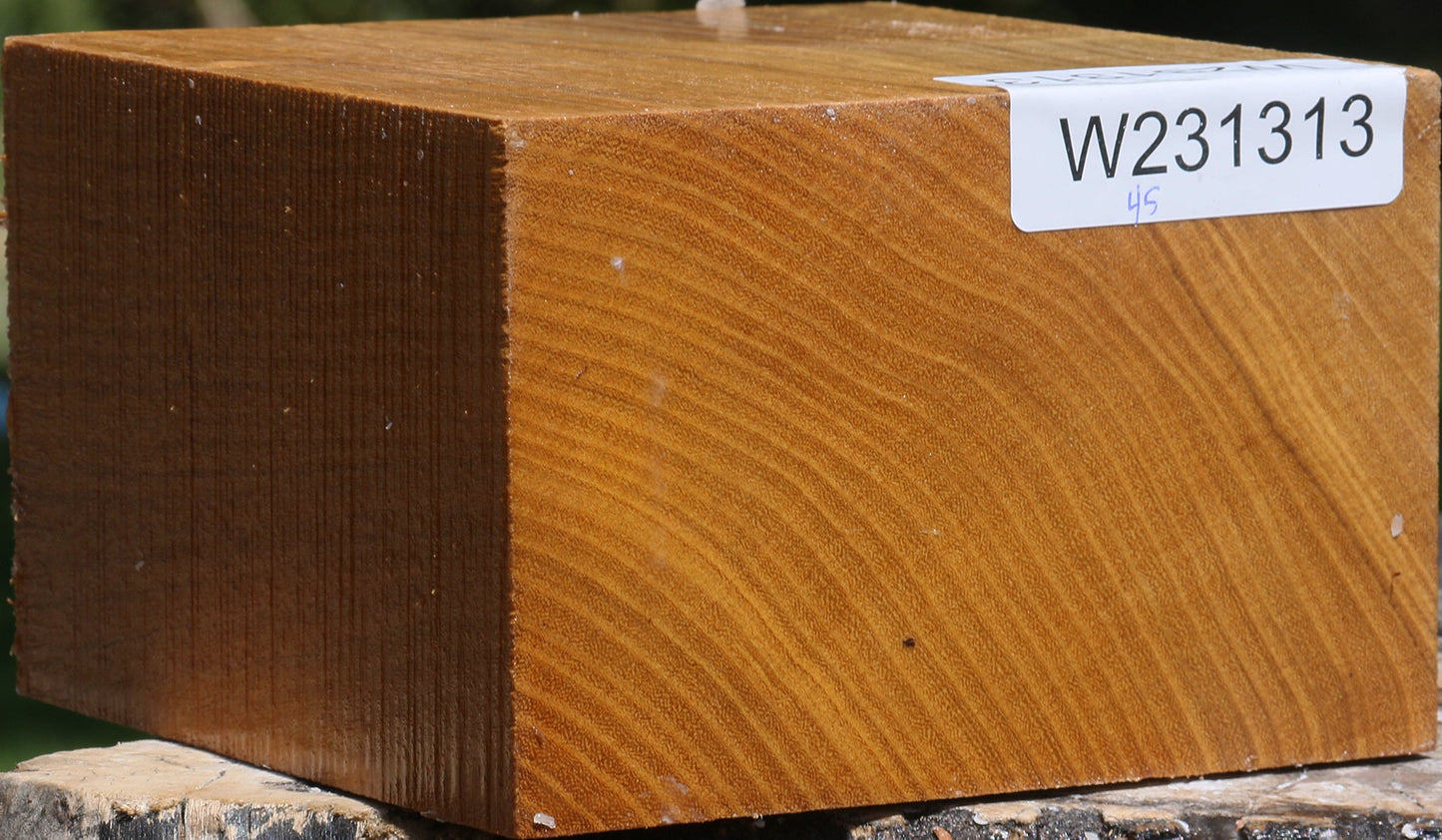 Silver Wattle Bowl Blank