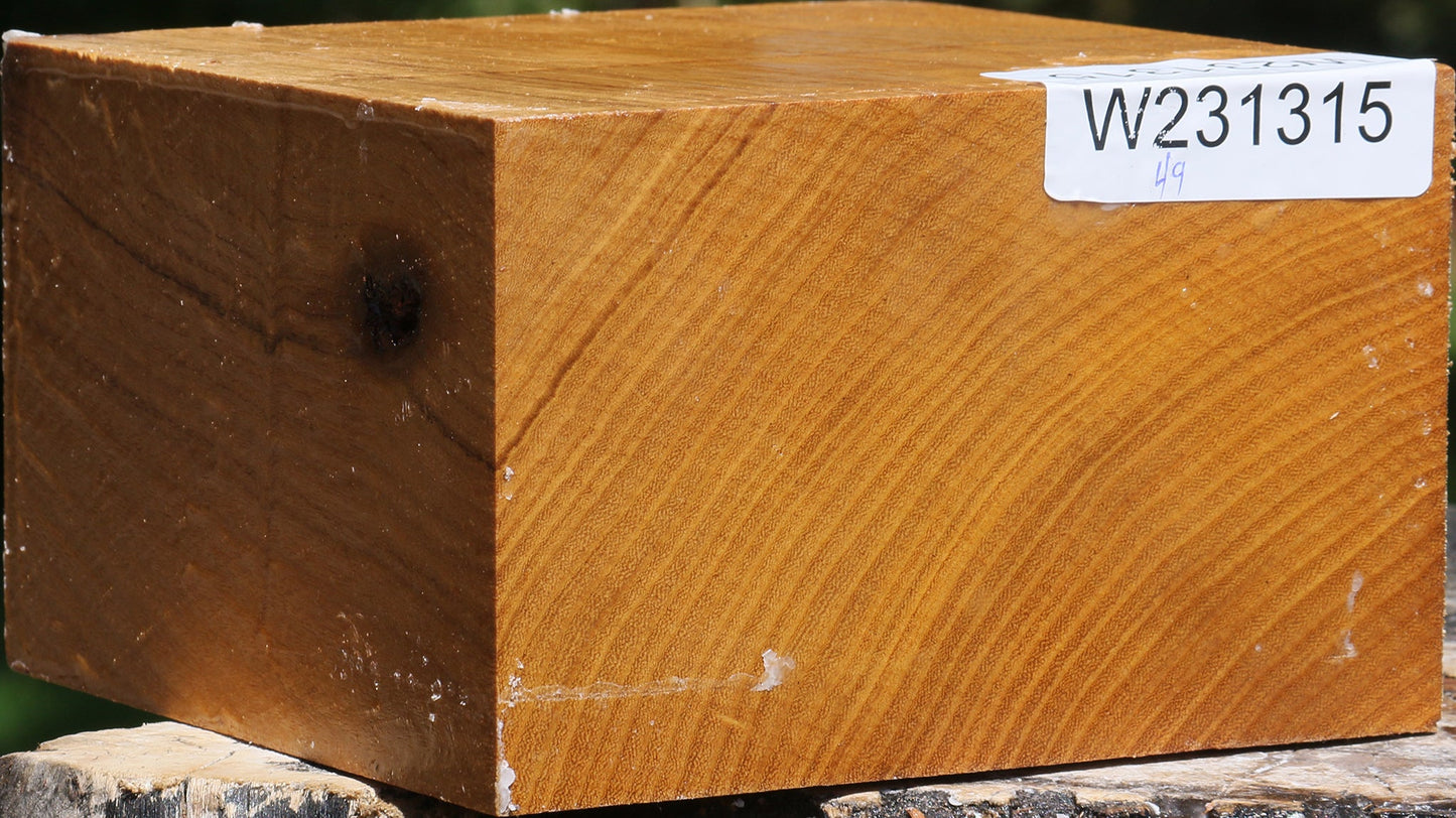 Silver Wattle Bowl Blank