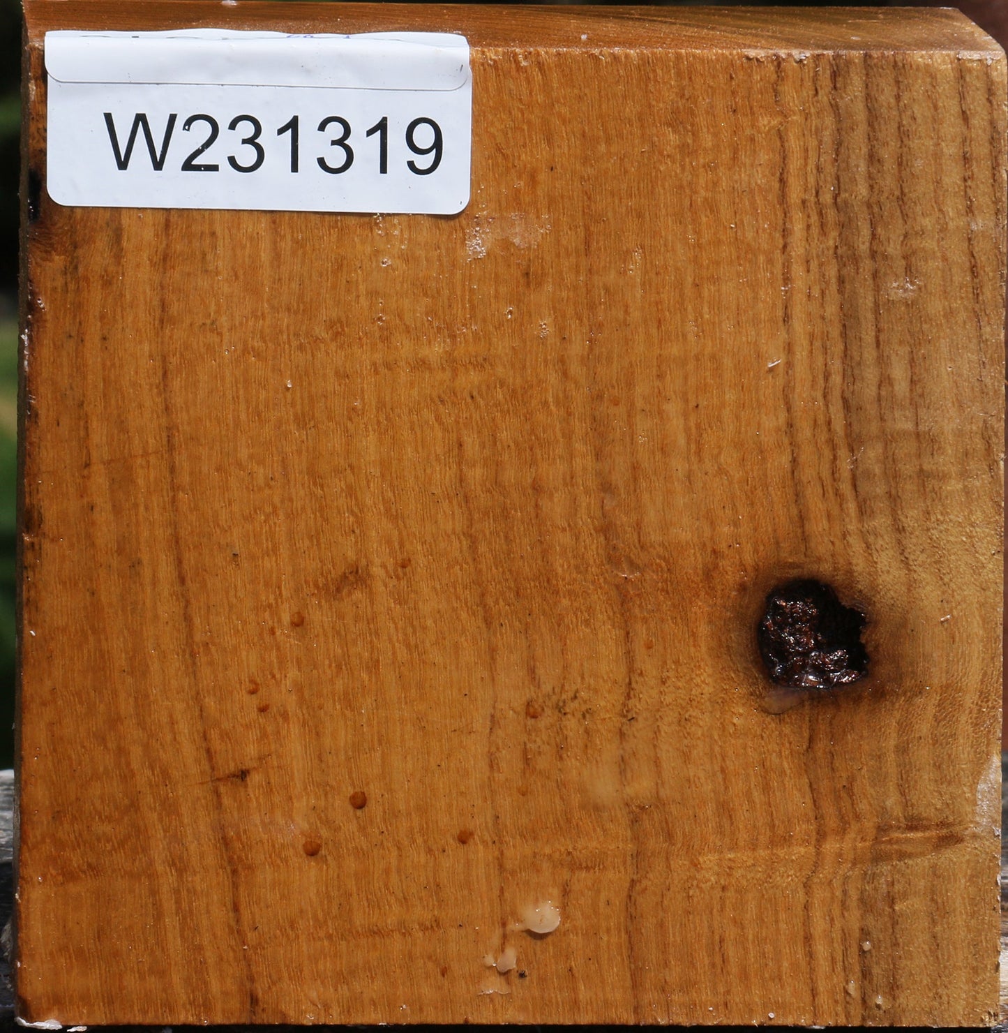 Figured Silver Wattle Bowl Blank