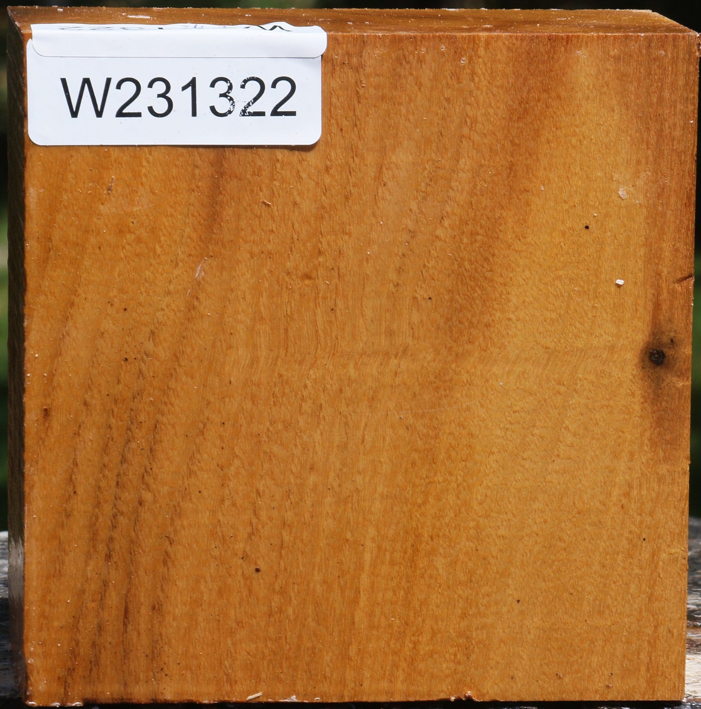 Figured Silver Wattle Bowl Blank