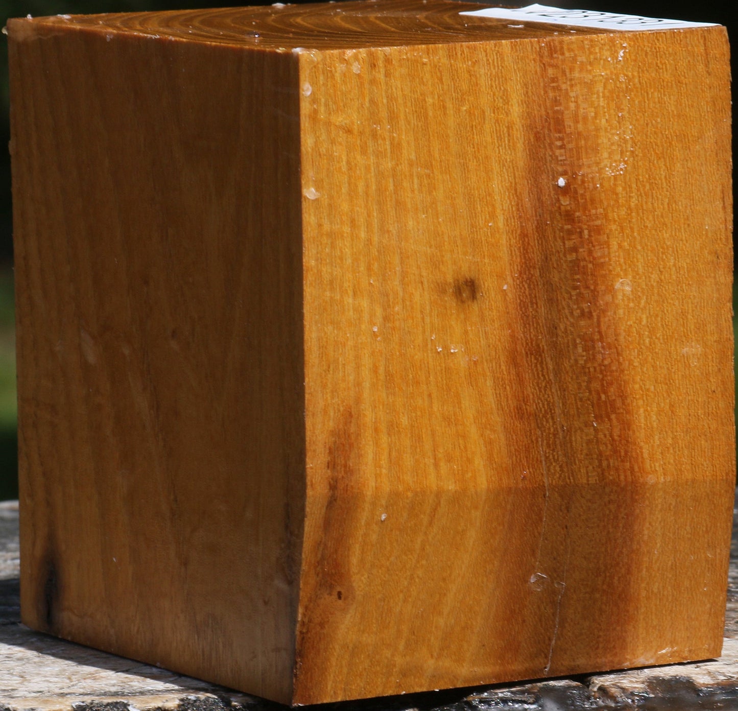 Silver Wattle Bowl Blank