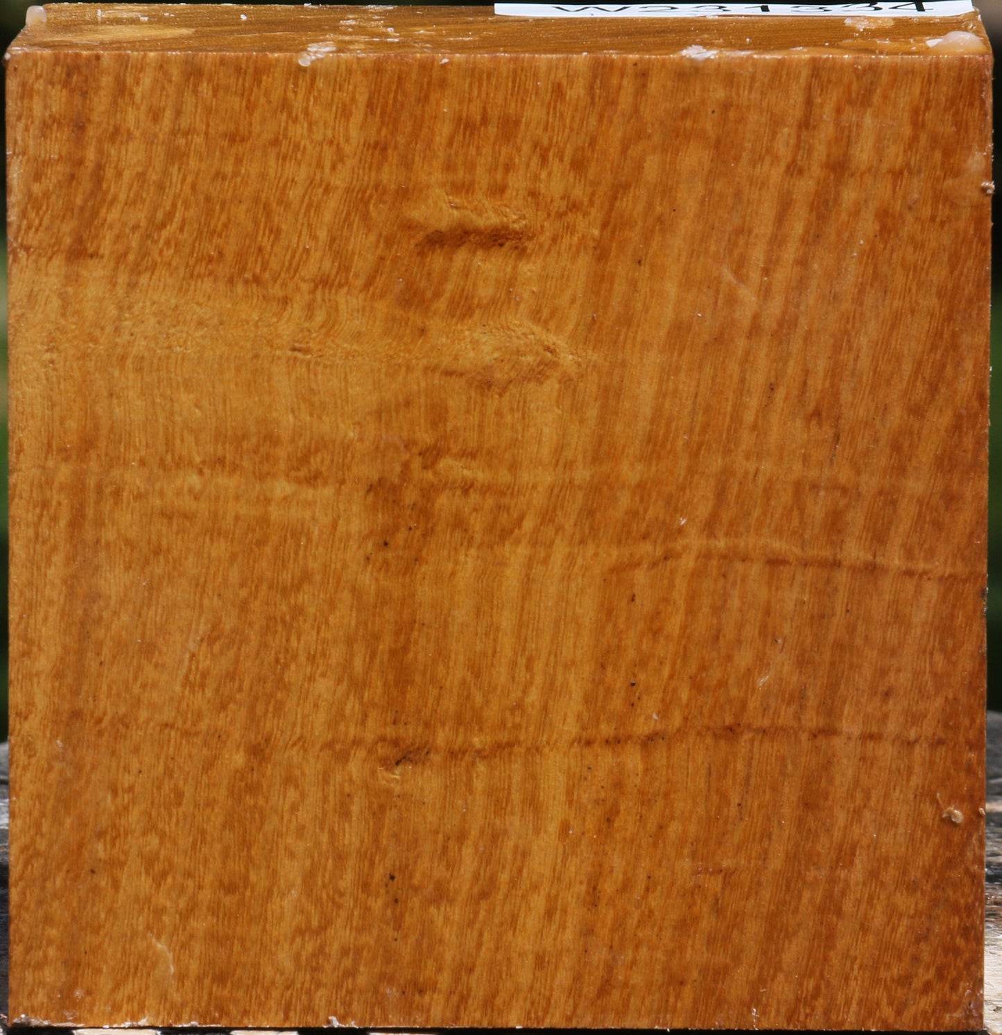 Figured Silver Wattle Bowl Blank