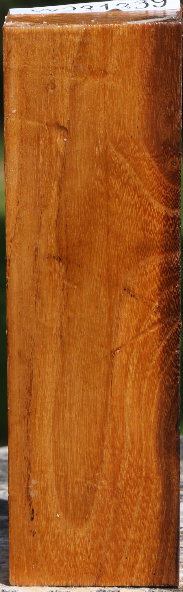 Silver Wattle Turning Square