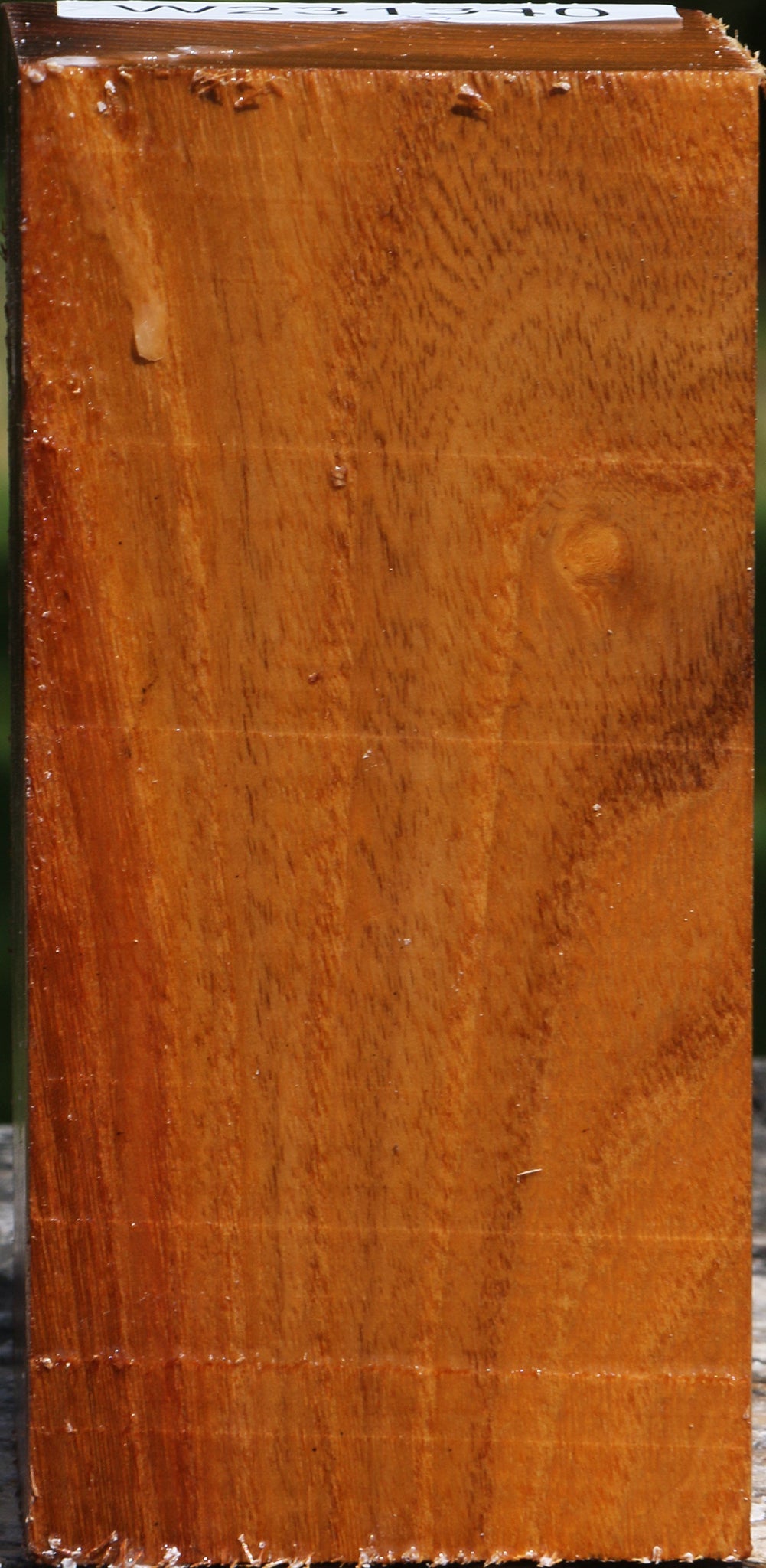 Silver Wattle Turning Square