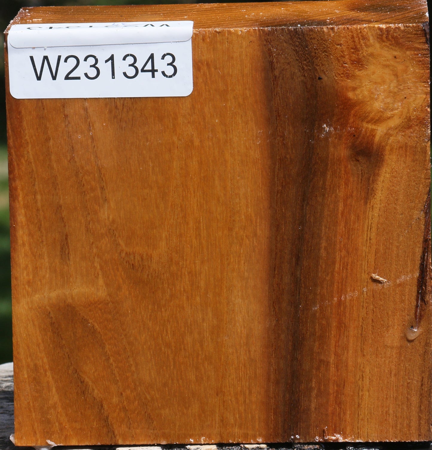 Silver Wattle Bowl Blank