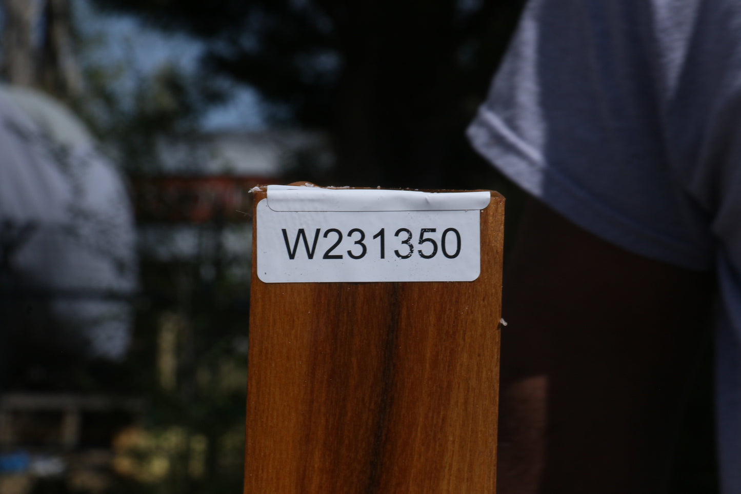 Silver Wattle Bowl Blank