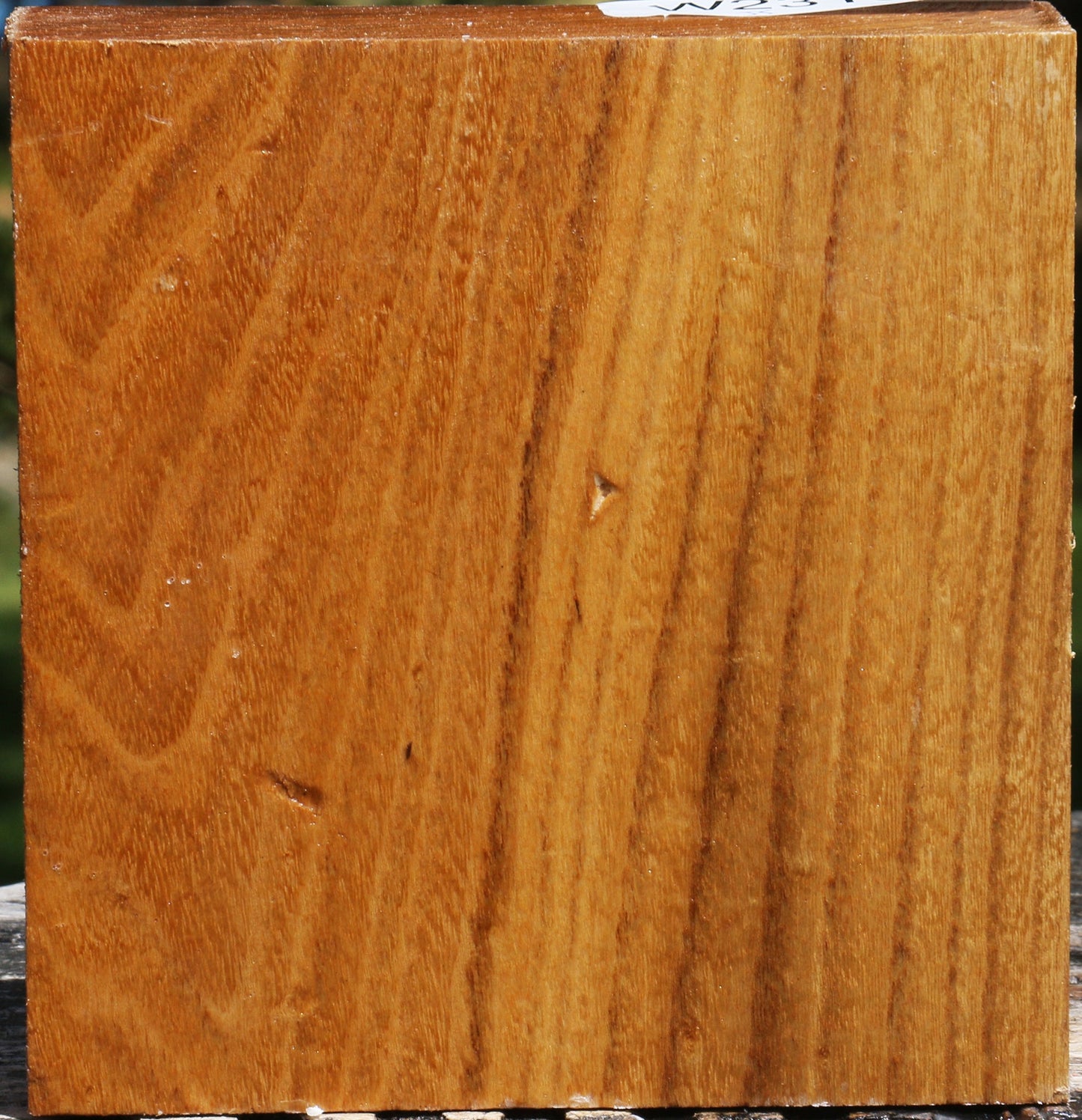 Silver Wattle Bowl Blank