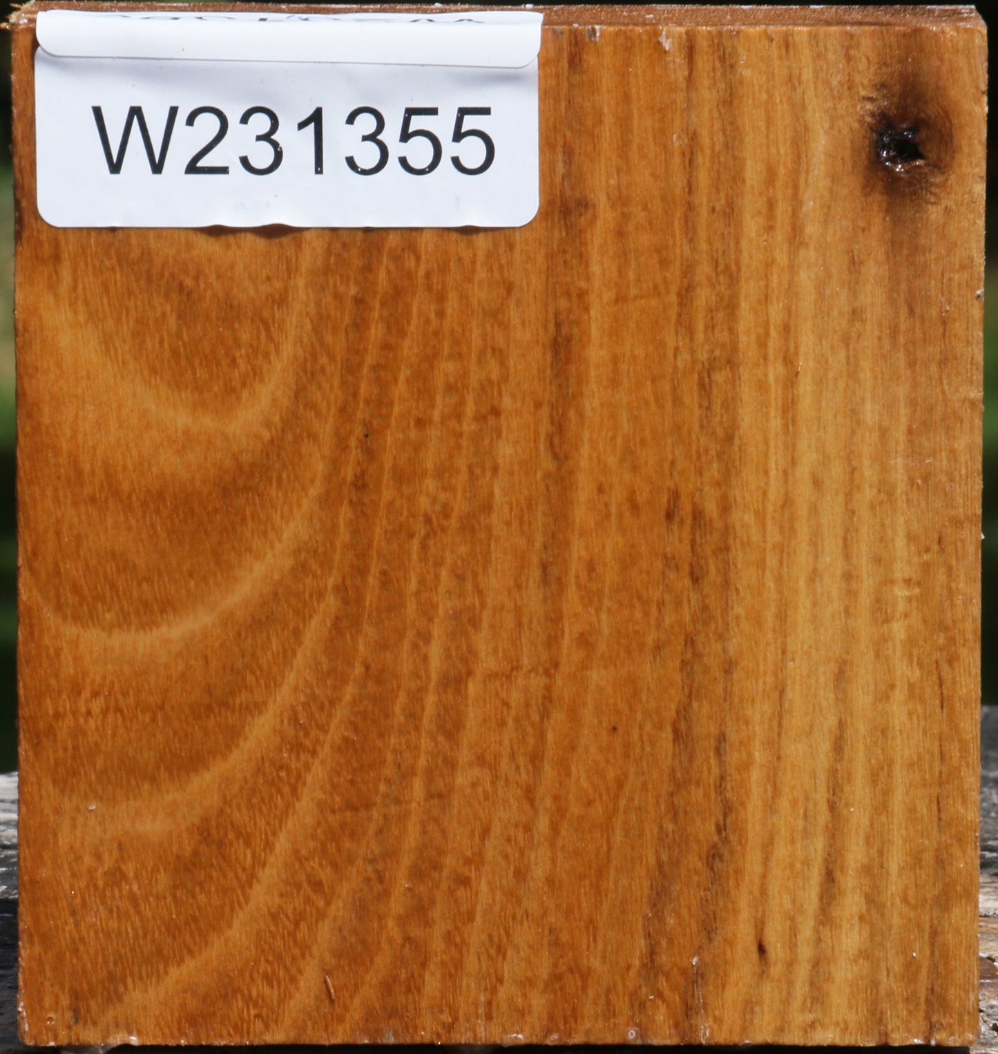 Rustic Silver Wattle Bowl Blank