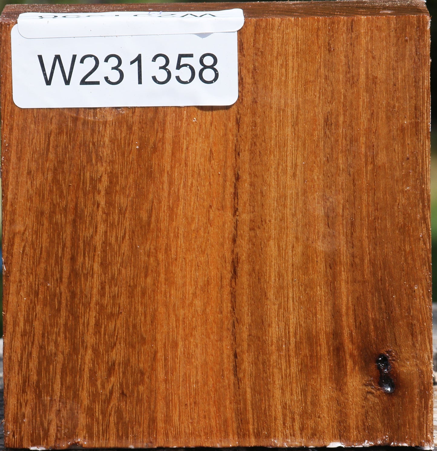 Silver Wattle Bowl Blank