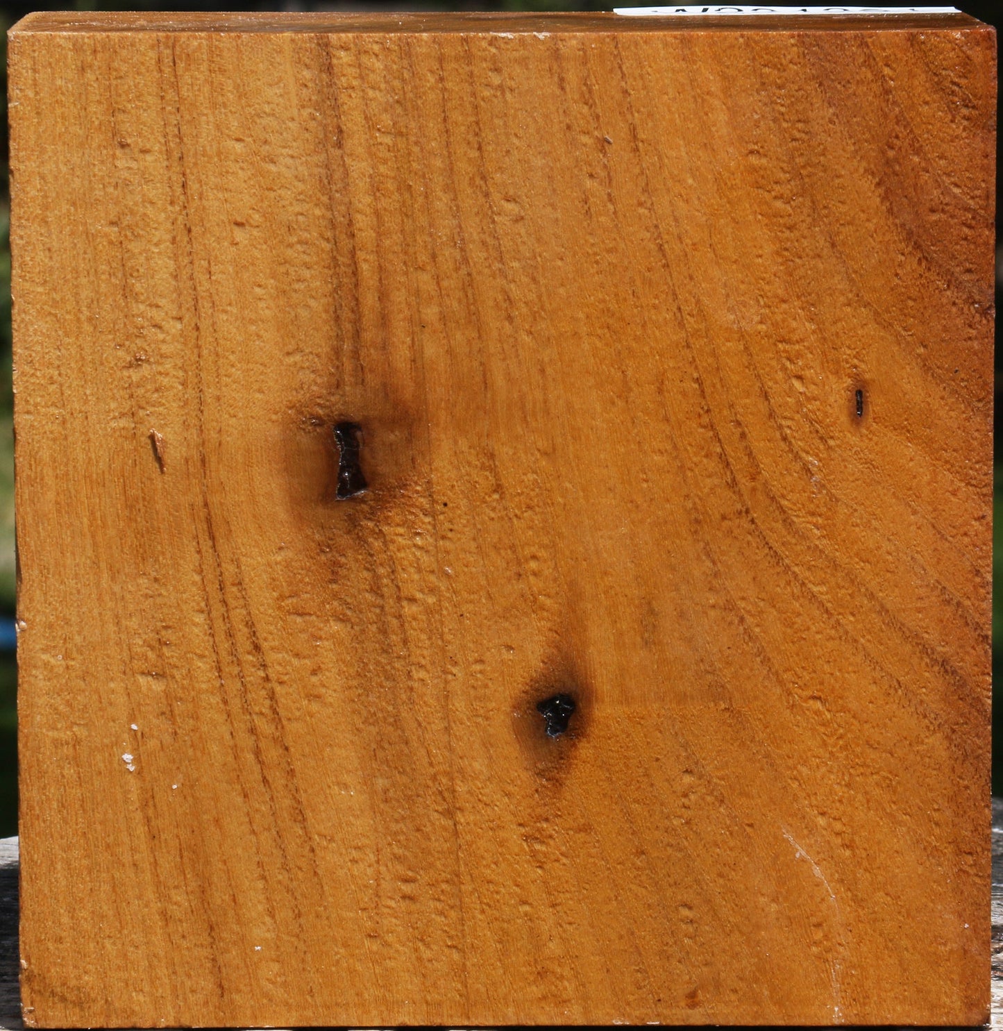 Silver Wattle Bowl Blank