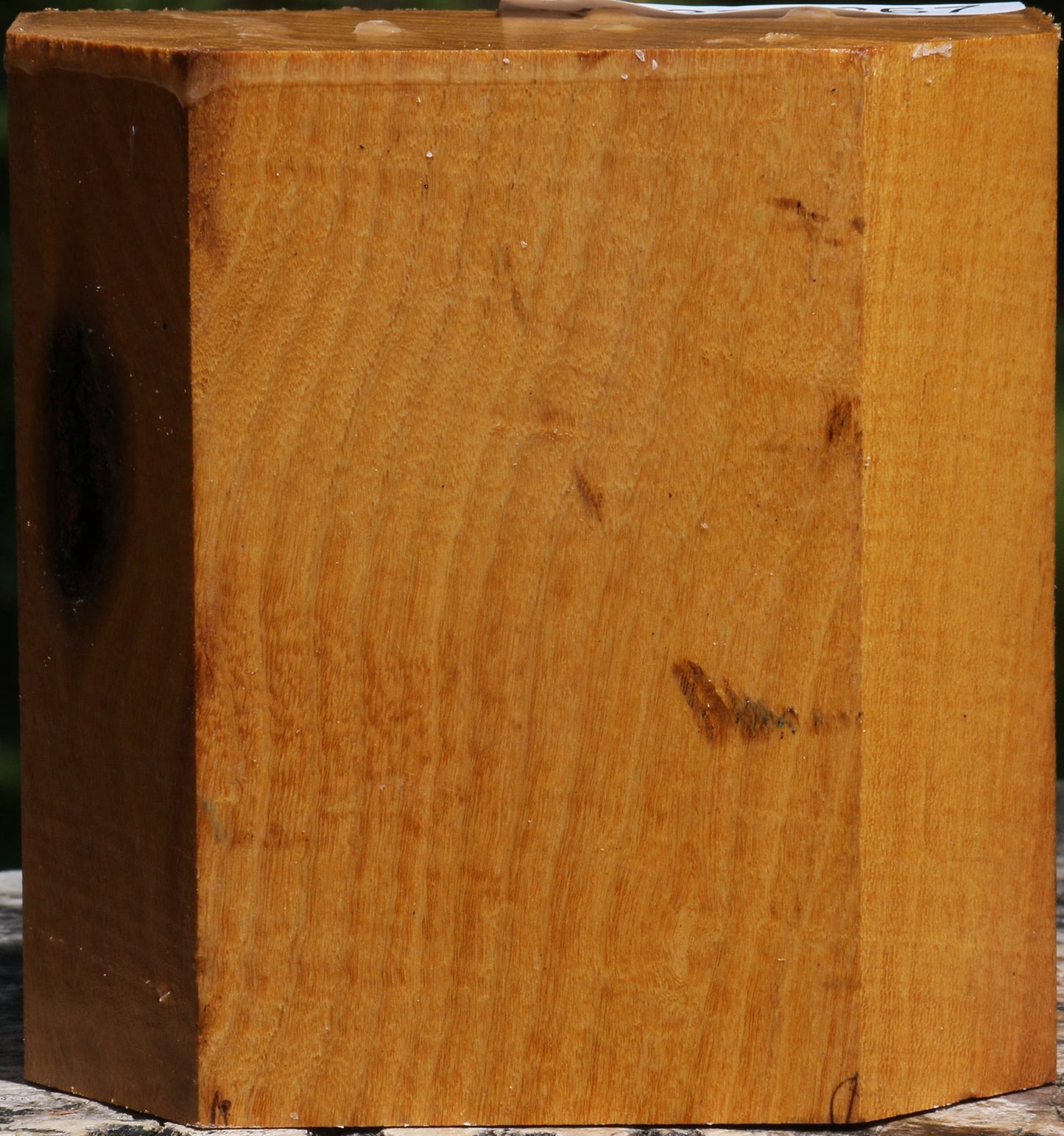 Silver Wattle Bowl Blank