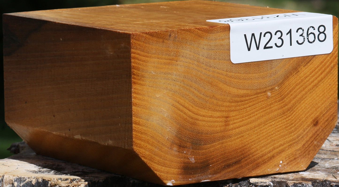 Silver Wattle Bowl Blank