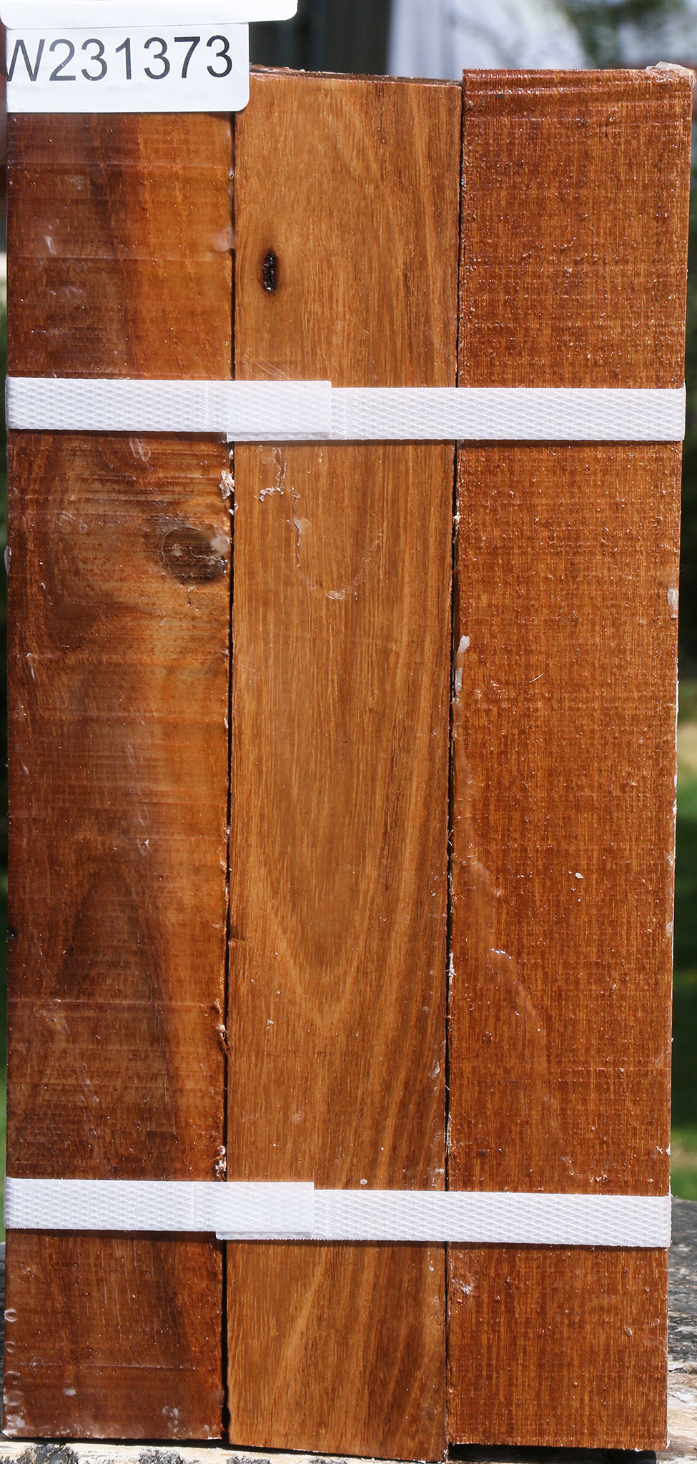 Silver Wattle Turning Square 3 Pack