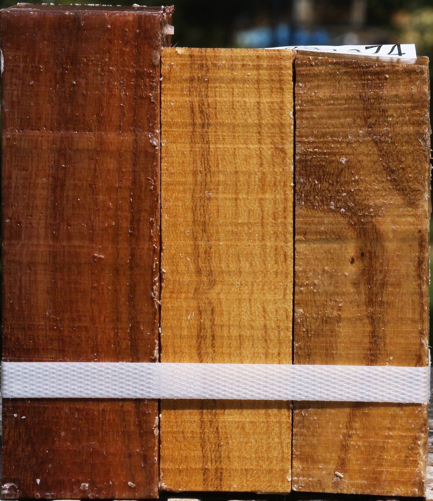 Silver Wattle Turning Square 3 Pack