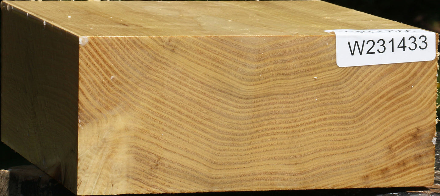 Black Locust Bowl Blank
