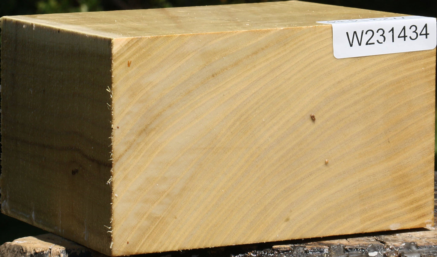 Black Locust Bowl Blank