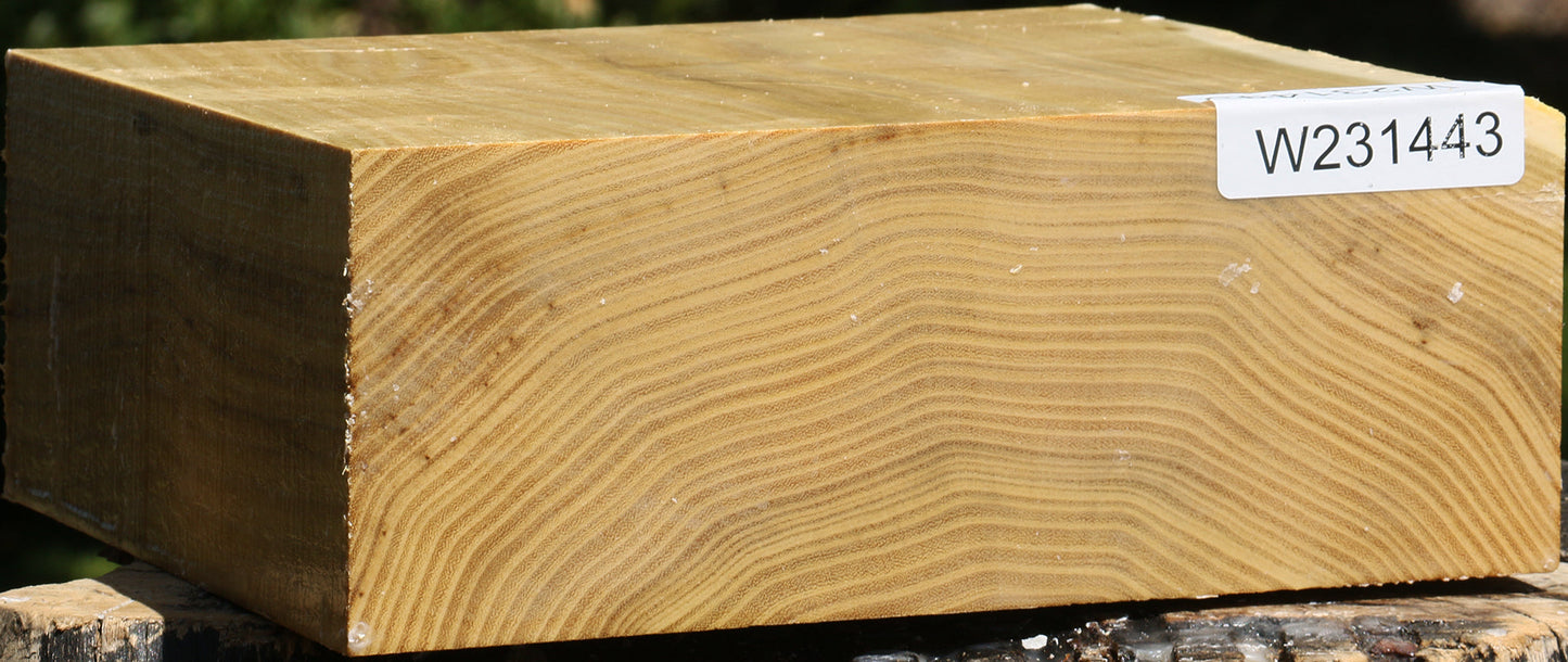 Black Locust Bowl Blank