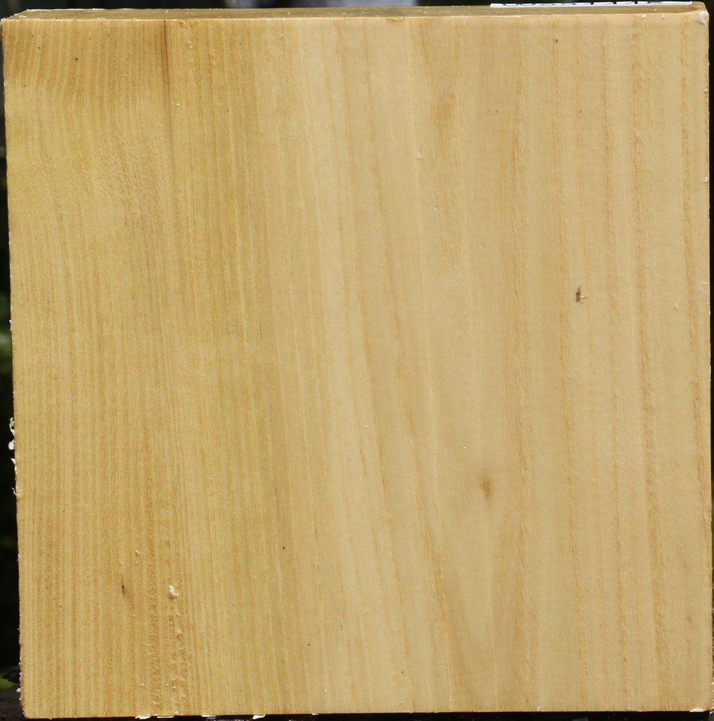 Black Locust Bowl Blank