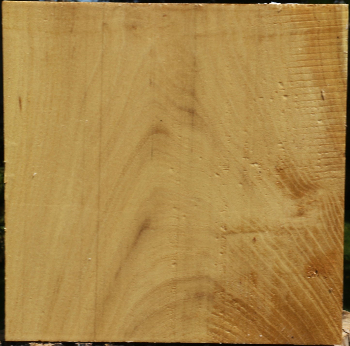 Black Locust Platter Blank