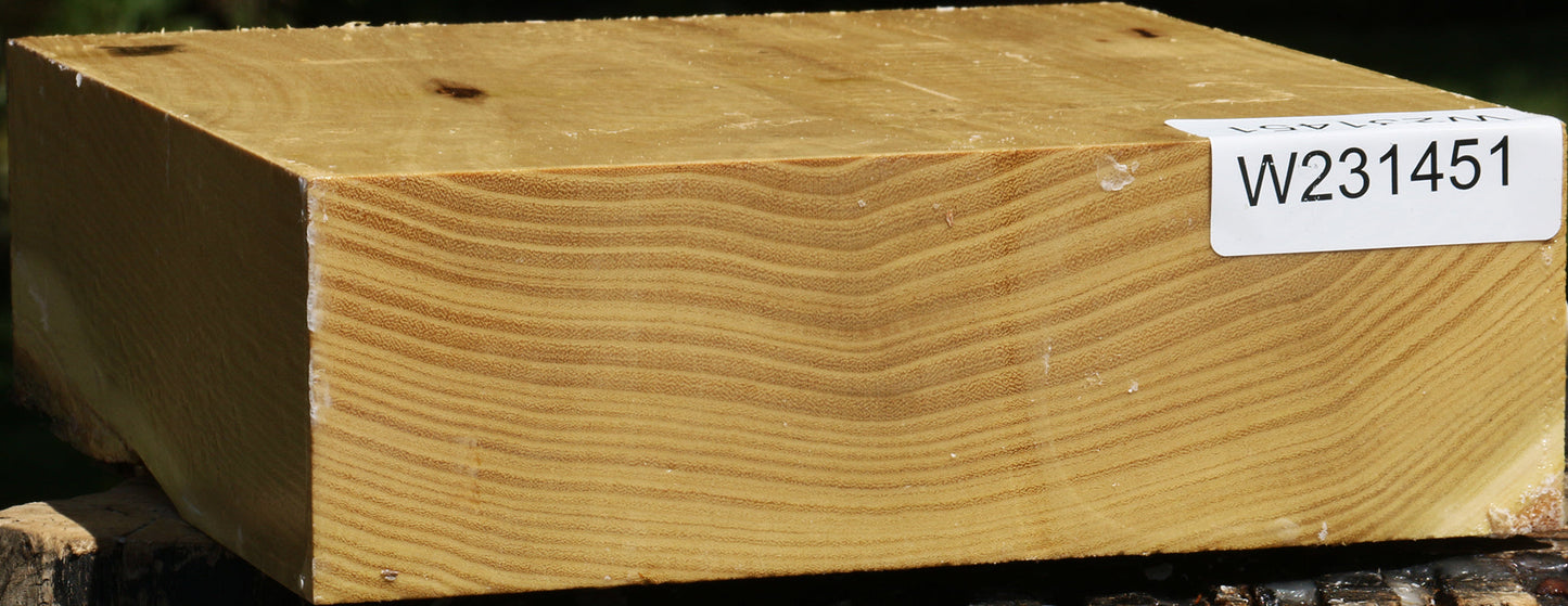 Black Locust Bowl Blank