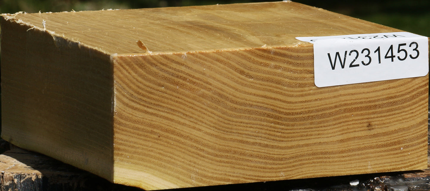 Black Locust Bowl Blank