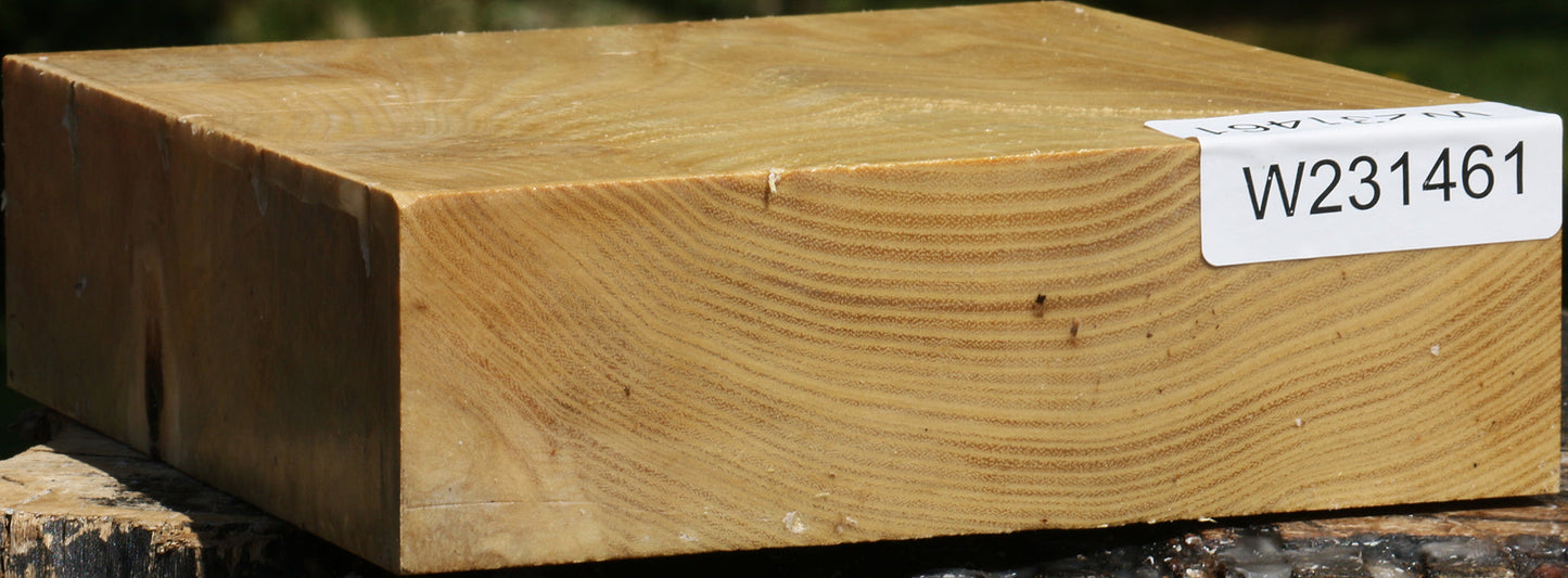 Figured Black Locust Bowl Blank