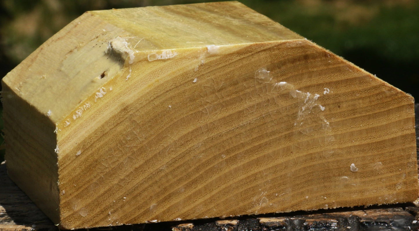 Black Locust Bowl Blank