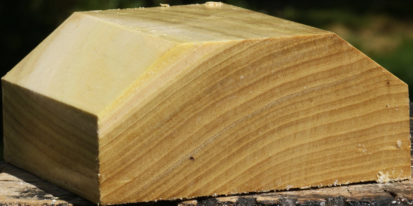 Black Locust Bowl Blank