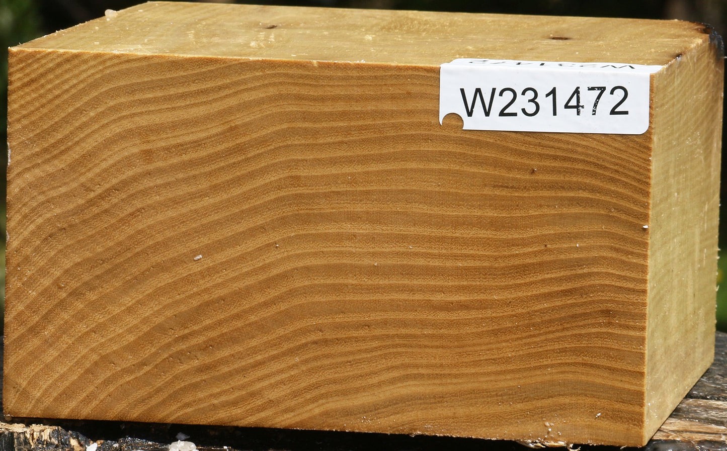 Black Locust Bowl Blank