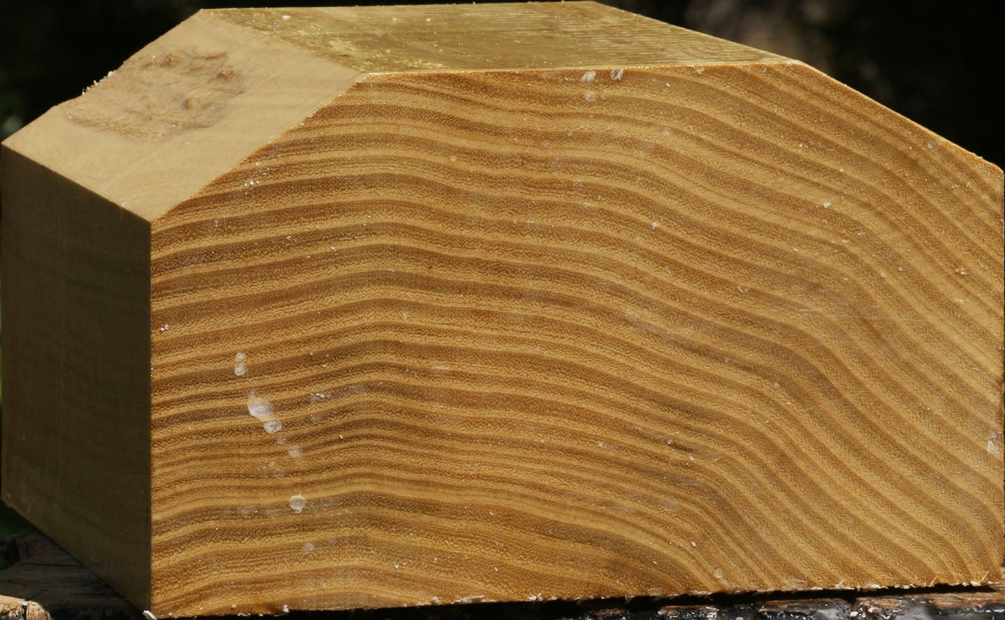 Black Locust Bowl Blank