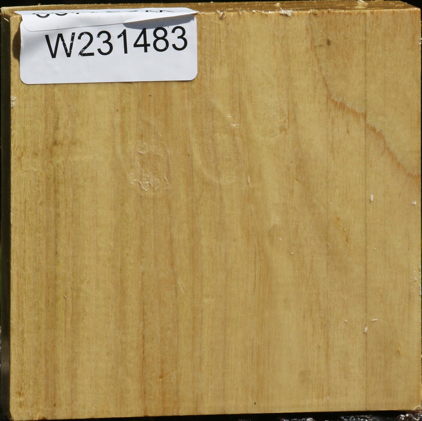 Black Locust Bowl Blank