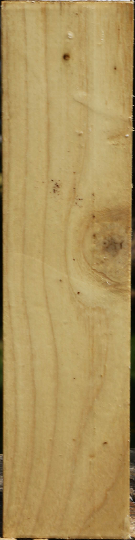 Black Locust Peppermill