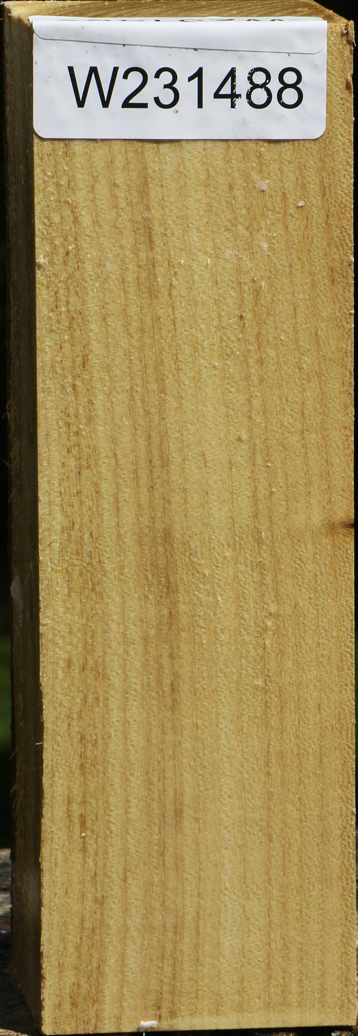 Black Locust Turning Square – Cook Woods