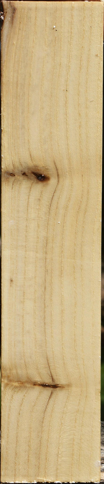 Black Locust Peppermill