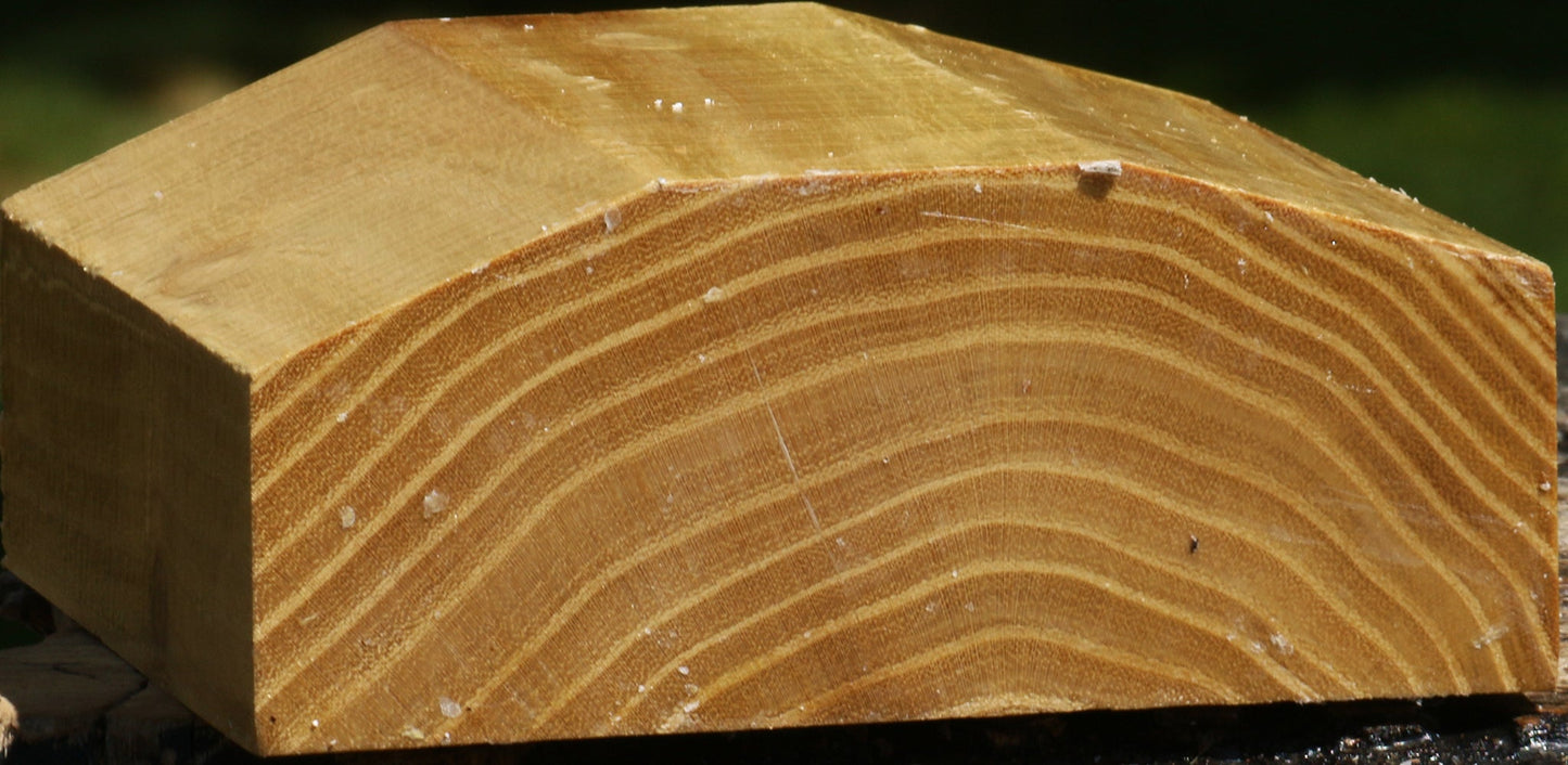Black Locust Bowl Blank