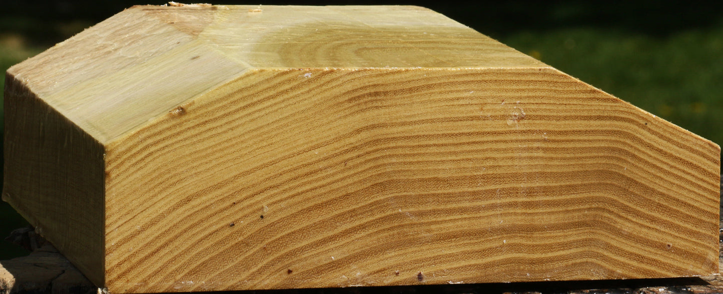 Black Locust Bowl Blank