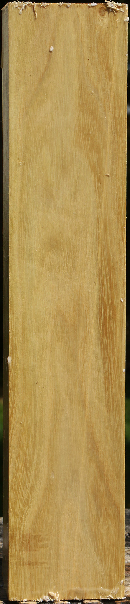 Black Locust Turning Square