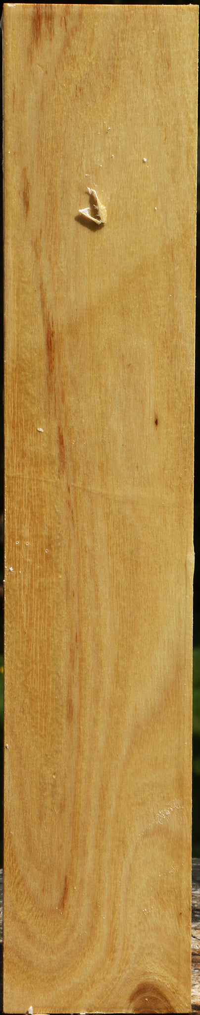 Black Locust Turning Square