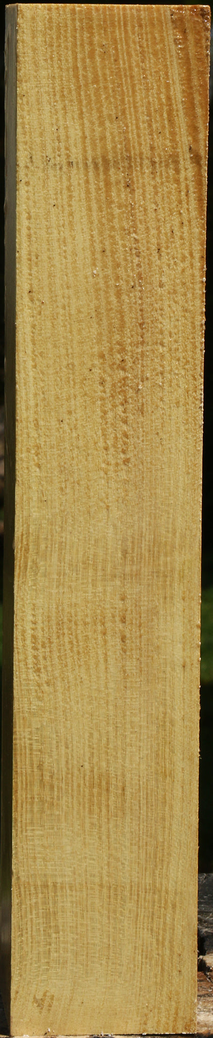 Black Locust Peppermill