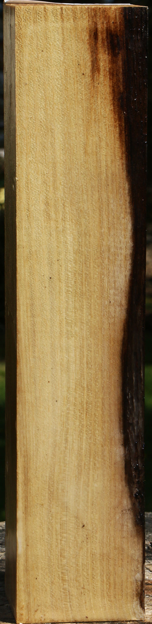 Black Locust Turning Square