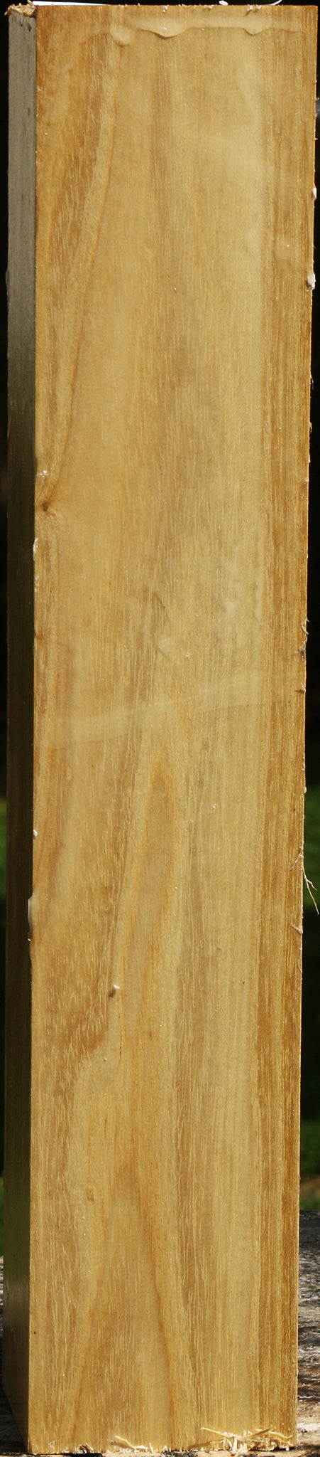 Black Locust Peppermill