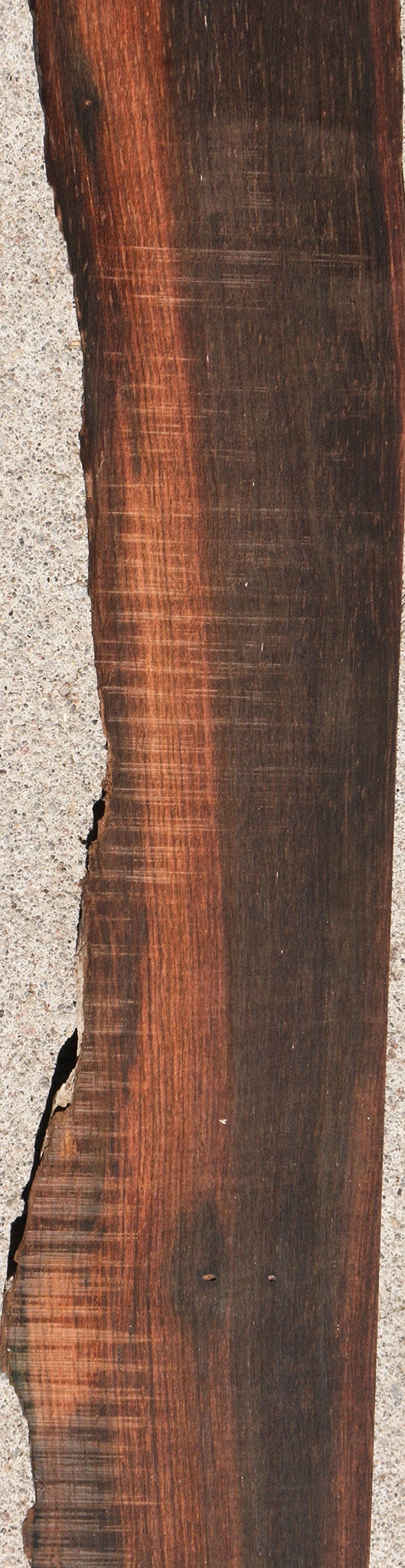 Brazilian Rosewood Live Edge Micro Lumber