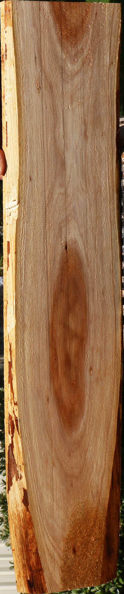 Tasmanian Blackwood Lumber