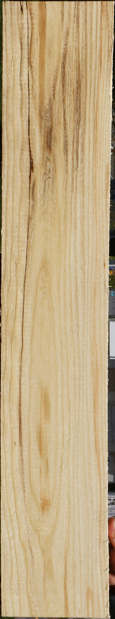 Spalted Hackberry Lumber