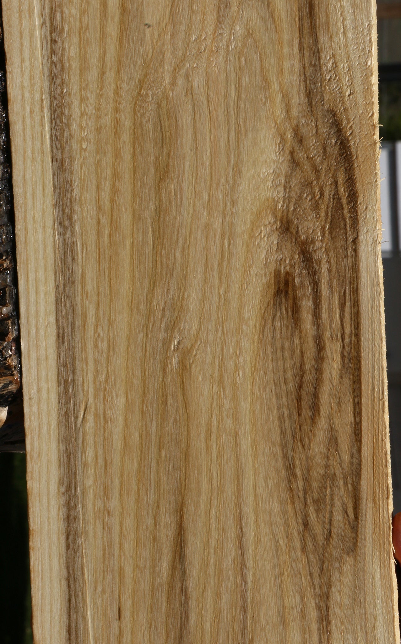 Spalted Hackberry Lumber