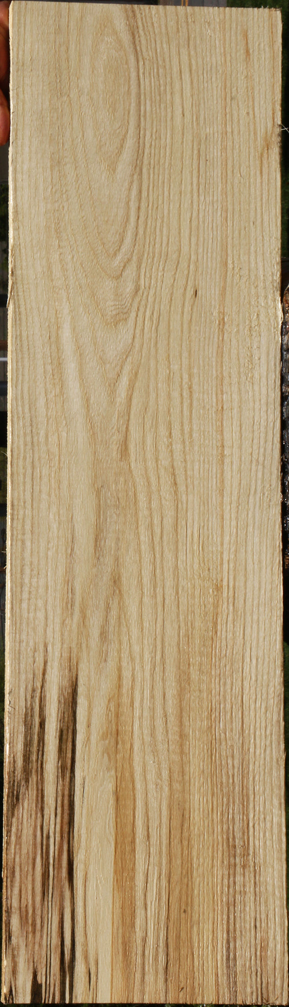 Figured Spalted Hackberry Lumber