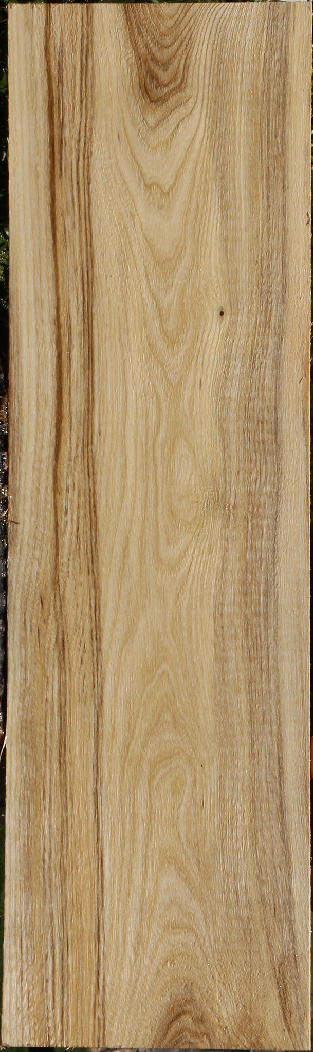 Extra Fancy Spalted Hackberry Lumber