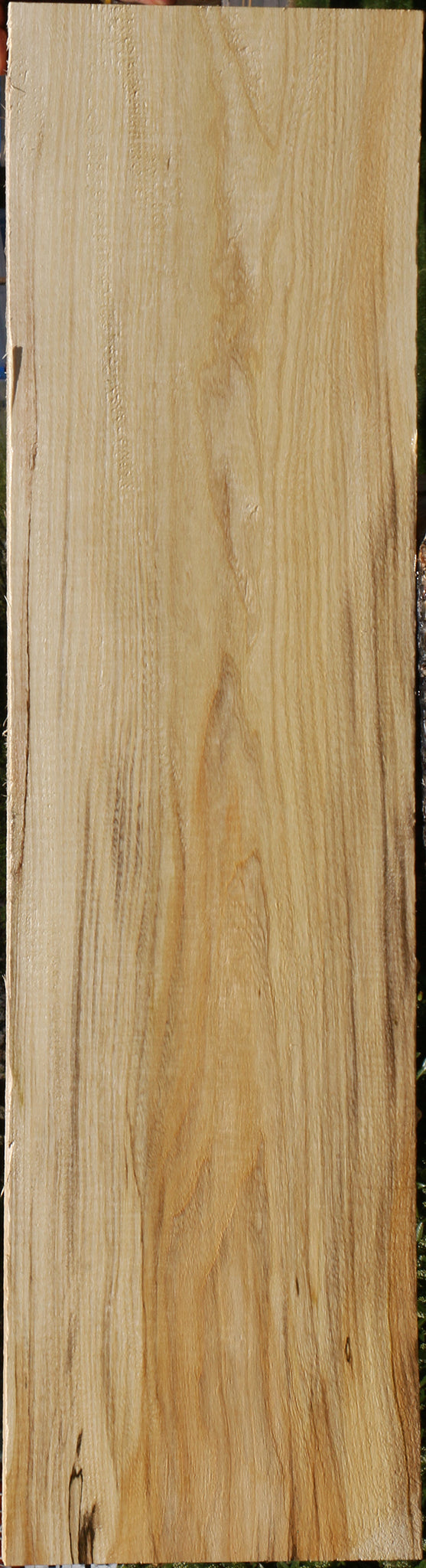 Figured Spalted Hackberry Lumber